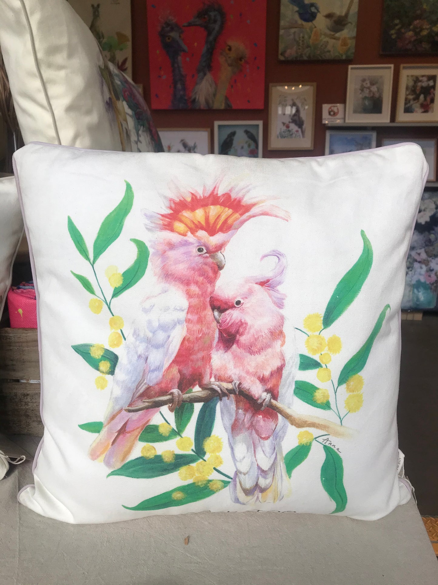 Australian Cockatoo